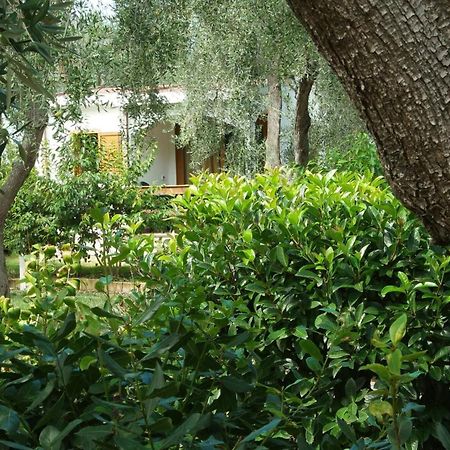 Saracena Holiday Home Featured With Private Beach And Swimming Pool มัตตีนาตา ภายนอก รูปภาพ